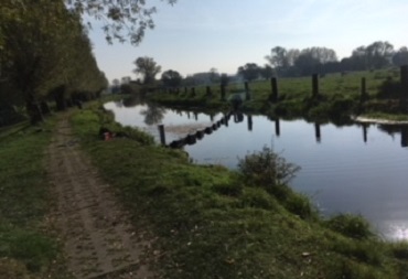 Oliekeerscherm